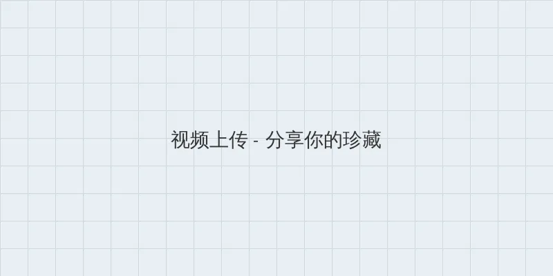 XXIX4 视频上传区域